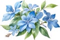 Watercolor painting of Cape Plumbago flower. Ai-Generated