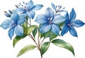 Watercolor painting of Cape Plumbago flower. Ai-Generated