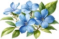 Watercolor painting of Cape Plumbago flower. Ai-Generated