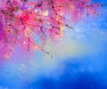 Watercolor painting Cherry blossoms - Japanese cherry Royalty Free Stock Photo