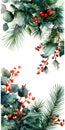 Watercolor painting of Christmas leaves and berries on white background