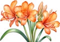 Close-up of a watercolor painting of Clivia miniata flower. Ai-Generated Royalty Free Stock Photo