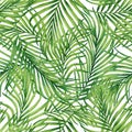 Watercolor painting coconut,banana,palm leaf,green leaves seamless pattern background.Watercolor hand drawn illustration tropical Royalty Free Stock Photo