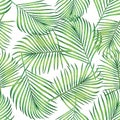 Watercolor painting coconut,banana,palm leaf,green leaves seamless pattern background.Watercolor hand drawn illustration tropical Royalty Free Stock Photo