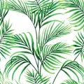 Watercolor painting coconut,palm leaf,green leaves seamless pattern background.Watercolor hand drawn illustration tropical exotic Royalty Free Stock Photo