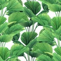 Watercolor painting coconut,palm leaf,green leaves seamless pattern background.Watercolor hand drawn illustration tropical exotic Royalty Free Stock Photo