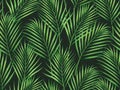 Watercolor painting coconut,palm leaves seamless pattern on dark background.Watercolor hand drawn illustration tropical exotic lea Royalty Free Stock Photo