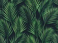 Watercolor painting coconut,palm leaves seamless pattern on dark background.Watercolor hand drawn illustration tropical exotic lea Royalty Free Stock Photo