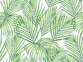 Watercolor painting coconut,palm leaves seamless pattern on white background.Watercolor hand drawn illustration tropical exotic le Royalty Free Stock Photo