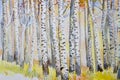 Watercolor painting colorful autumn trees of forest aspen Royalty Free Stock Photo