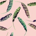 Watercolor painting colorful banana leaves seamless pattern on pink background.Watercolor hand drawn illustration tropical exotic Royalty Free Stock Photo