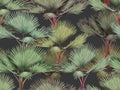 Watercolor painting colorful palm tree seamless pattern on dark background.Watercolor hand drawn illustration tropical exotic leaf Royalty Free Stock Photo