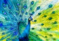 Watercolor Painting - Colorful peacock tail feathers Royalty Free Stock Photo