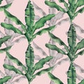 Watercolor painting colorful tree banana leaves seamless pattern background.Watercolor hand drawn illustration tropical exotic lea Royalty Free Stock Photo