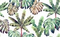 Watercolor painting colorful tree banana,monstera leaves seamless pattern background.Watercolor hand drawn illustration tropical e Royalty Free Stock Photo