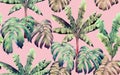 Watercolor painting colorful tree banana,monstera leaves seamless pattern background.Watercolor hand drawn illustration tropical e Royalty Free Stock Photo