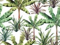 Watercolor painting colorful tree,banana,palm leaves seamless pattern background.Watercolor hand drawn illustration tropical exoti