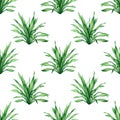 Watercolor painting colorful tropical green leaf,palm leave seamless pattern background.Watercolor hand drawn illustration tropica Royalty Free Stock Photo