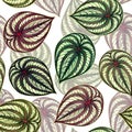 Watercolor painting colorful tropical green leaves seamless pattern background.Watercolor hand drawn illustration tropical exotic