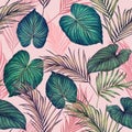 Watercolor painting colorful tropical green,pink leaves seamless pattern background.Watercolor hand drawn illustration tropical ex Royalty Free Stock Photo