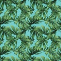 Watercolor painting colorful tropical Monstera green leaves seamless pattern background.Watercolor hand drawn illustration tropica Royalty Free Stock Photo