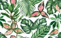 Watercolor painting colorful tropical palm leaf,green leave seamless pattern background.Watercolor hand drawn illustration tropica Royalty Free Stock Photo