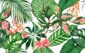 Watercolor painting colorful tropical palm leaf,green leaves seamless pattern background.Watercolor hand drawn illustration tropic Royalty Free Stock Photo