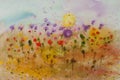 Watercolor painting of colorful wildflower field