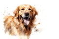 Watercolor painting of cute golden retriever on a clean background. Pet. Animals.