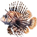 Watercolor painting of a cute lionfish (Pterois). AI-Generated. Royalty Free Stock Photo