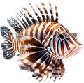 Watercolor painting of a cute lionfish (Pterois). AI-Generated.