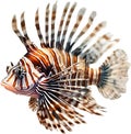 Watercolor painting of a cute lionfish (Pterois). AI-Generated.