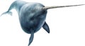 Watercolor painting of a cute Narwhal (Monodon monoceros). AI-Generated.