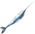 Watercolor painting of a cute Narwhal (Monodon monoceros). AI-Generated.