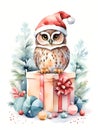 Watercolor painting of cute owl in red Santa Claus hat with gift box Royalty Free Stock Photo