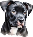 Cute Pitbull, a watercolor painting of a cute Pitbull. AI-Generated.