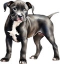 Cute Pitbull, a watercolor painting of a cute Pitbull. AI-Generated.