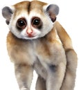 Watercolor painting of a cute Slow Loris (Nycticebus). AI-Generated.