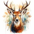 watercolor painting of a deer head on a white background Royalty Free Stock Photo