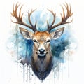 watercolor painting of a deer head on a white background Royalty Free Stock Photo