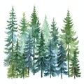 A Row of Pine Trees Watercolor Royalty Free Stock Photo