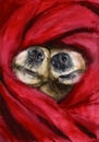 Watercolor painting depicting two funny dog ??noses Royalty Free Stock Photo