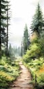 Evergreen Path Watercolor Illustration