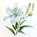 Watercolor Painting of a Easter Lily in Full Bloom AI Generated Royalty Free Stock Photo