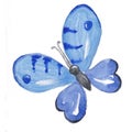 Watercolor handrawn blue butterfly