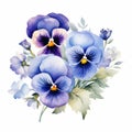 Elegant Watercolor Pansy Arrangement: Blue And White Floral Clipart Royalty Free Stock Photo
