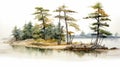 Watercolour Painting Of Pine Trees By The Water