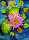 Watercolor painting of floating pink waterlily flower and leaves Royalty Free Stock Photo