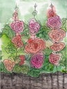 Watercolor painting of floral mallows design