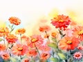 watercolor painting of flowers - zinnias